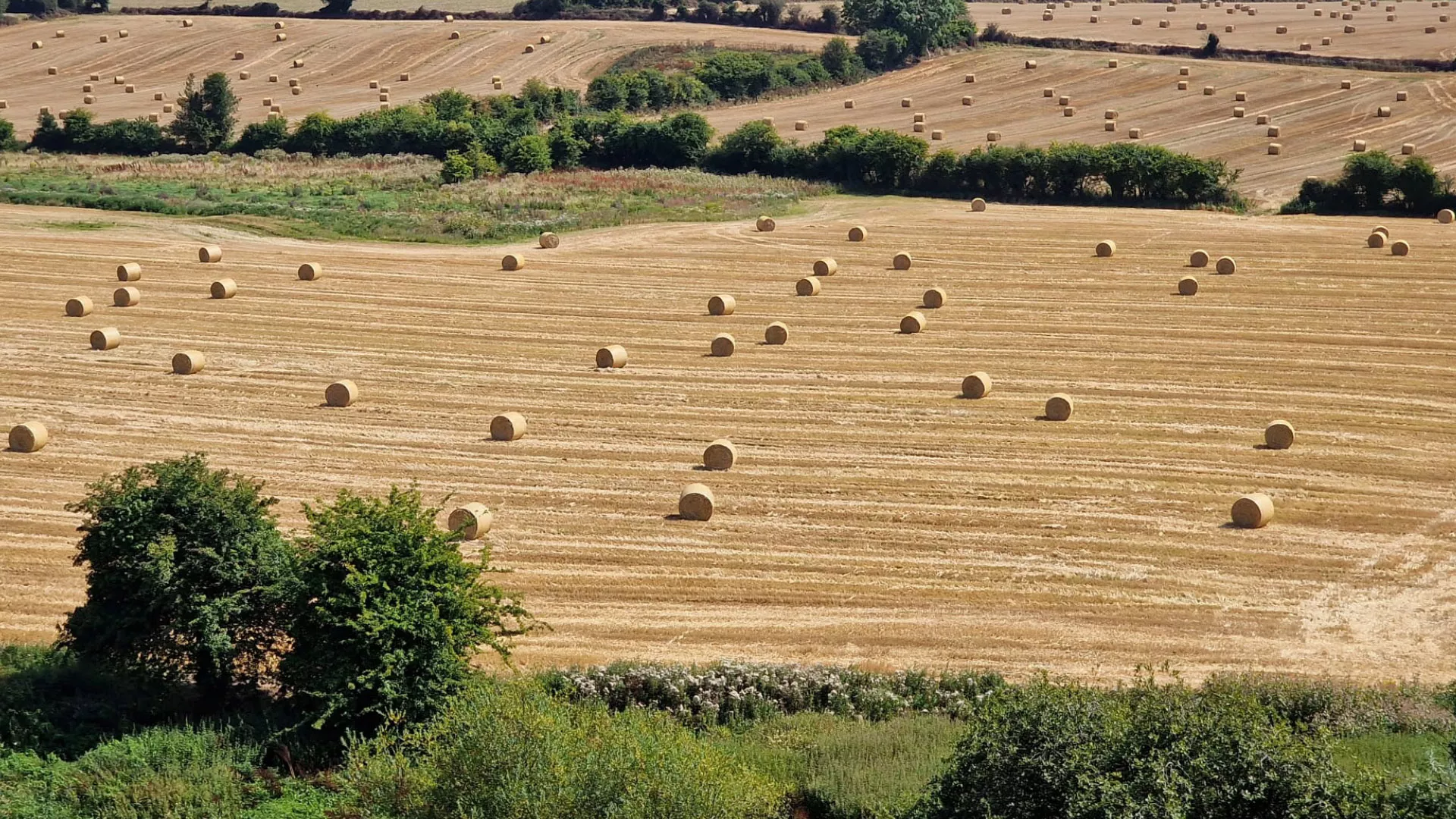 zeus-agri-packaging.jpg