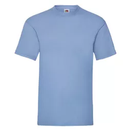 Men's Valueweight T-Shirt