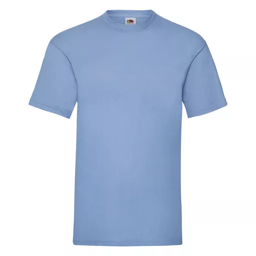 Men's Valueweight T-Shirt