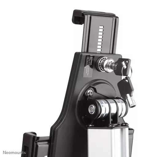 QIcPtzeAH0auDBby_UClNw.c-r.jpg?