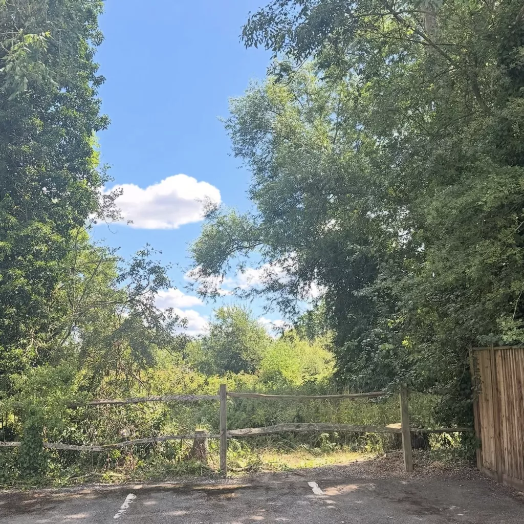 Early Starts, Expert Results: Commercial Tree Work from Cheshire to Wokingham