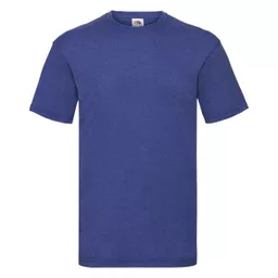 Men's Valueweight T-Shirt