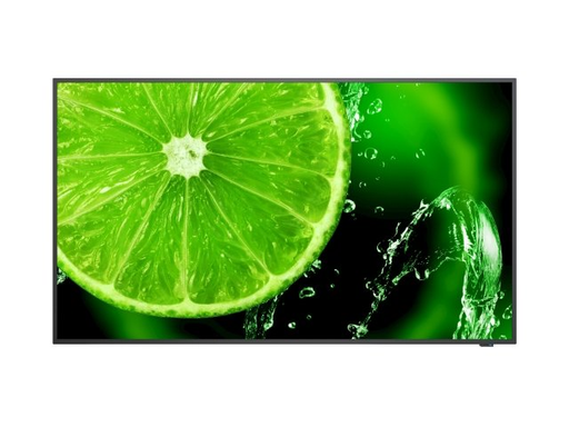 NEC MultiSync SHE329 32" Display