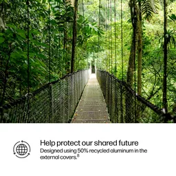 2gsuigdtFkC36o3eaeNlNQ.c-r.jpg?