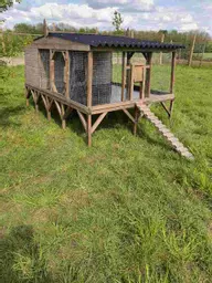 Chicken Coop on a platform