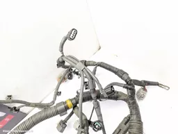 07224851-6a65-4e0f-a1fb-555dc15d2ec1.jpeg?