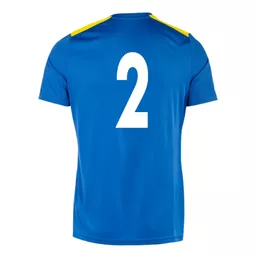 LittleGaddesdenFootballClub_HomeShirt_Back.png