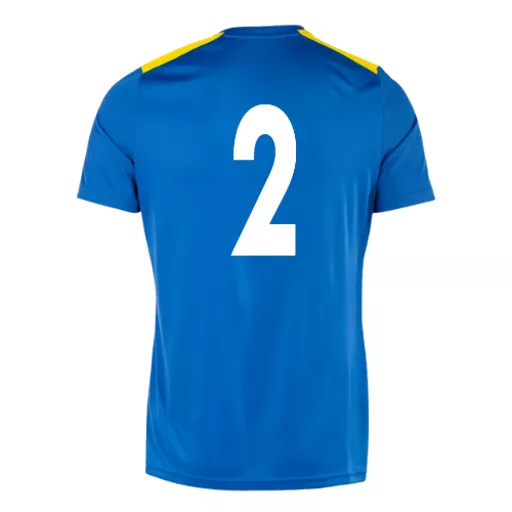 LittleGaddesdenFootballClub_HomeShirt_Back.png