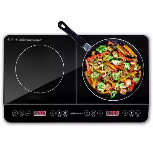 Double Induction Hob