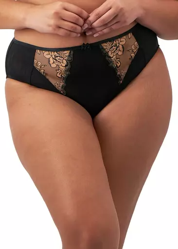 Elomi Teagan High Leg Brief.jpg