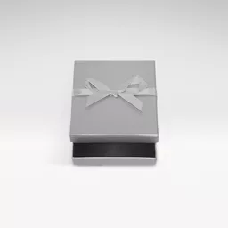 6301155-Silver-Necklace-box.jpg