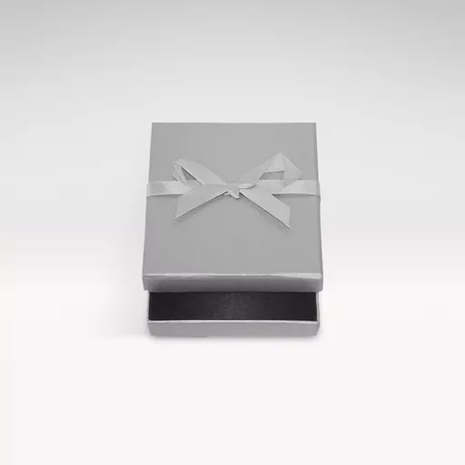 6301155-Silver-Necklace-box.jpg