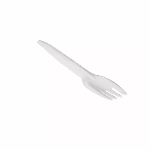 C01002.WebP
