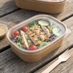 _0000s_0001_500-1000ml PET Rectangular Food Bowl Lid Clear.jpg