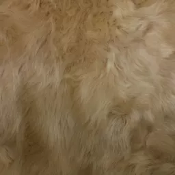 1731149599-76894800.jpg?