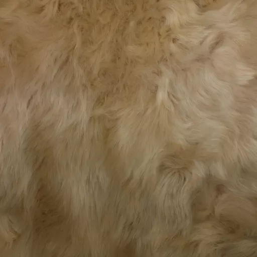 1731149599-76894800.jpg?