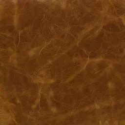 1700317178-81016200.jpg?