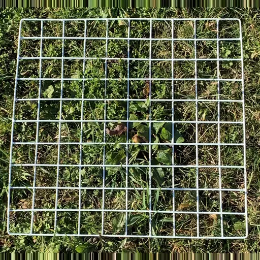 QUADRAT RIGID 100 SQUARES