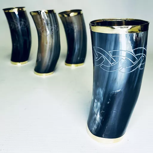 Horn Beaker with Brass Finish