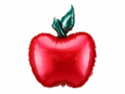 IT379550_1.webp