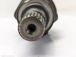 ed609238-f437-478d-b41e-311d70ee02b0.jpeg?