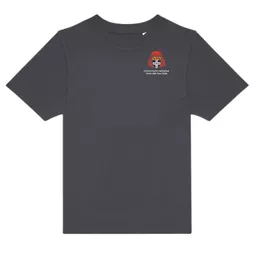CCCC_USATourTee_Grey_Front.png