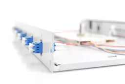 TR8upZcJik-Q3vPjDYfedw.c-r.jpg?