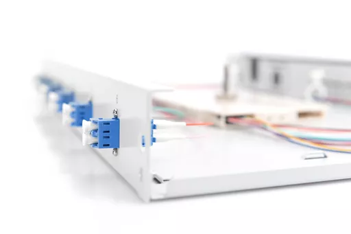 TR8upZcJik-Q3vPjDYfedw.c-r.jpg?