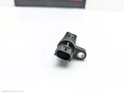 d513432c-ce17-4710-9300-34b1b3c1350c.jpeg?