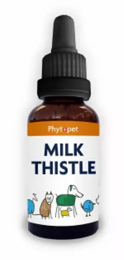 Milk_thistle_bottle.webp