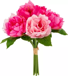 IT393844.jpg