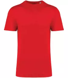 NS314IC%20POP%20FRONT.jpg?