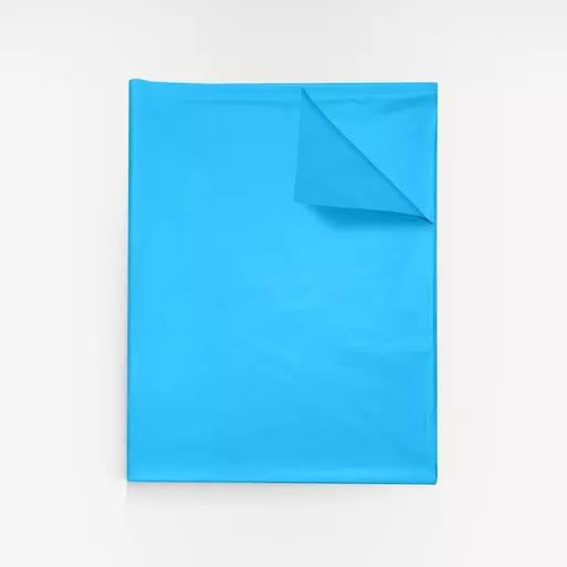 3601243-Sky-blue-MF-tissue-paper.jpg