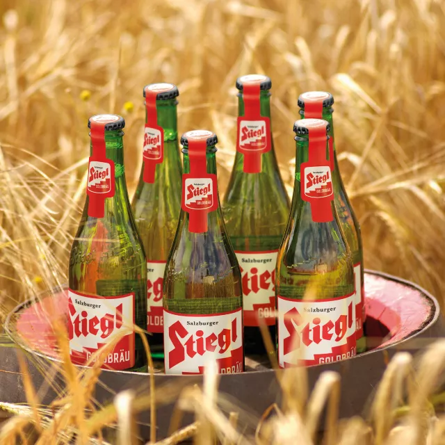 Design ohne Titel (1).png